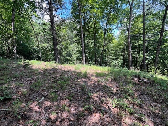 Lot 11 Laurel Mountain Road, Brasstown NC 28904 - Photo