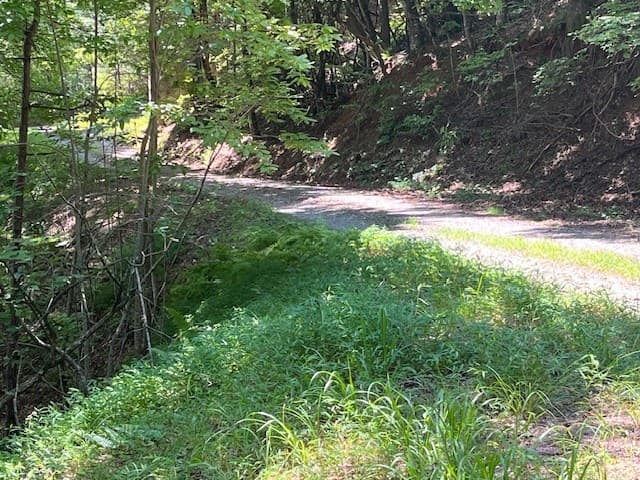 Lot 11 Laurel Mountain Road, Brasstown NC 28904 - Photo