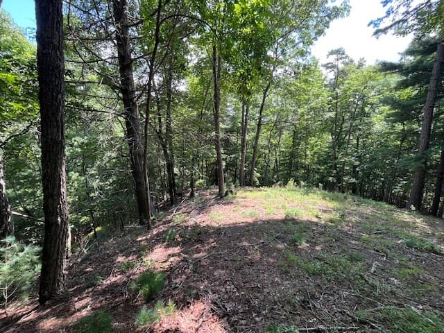 Lot 11 Laurel Mountain Road, Brasstown NC 28904 - Photo