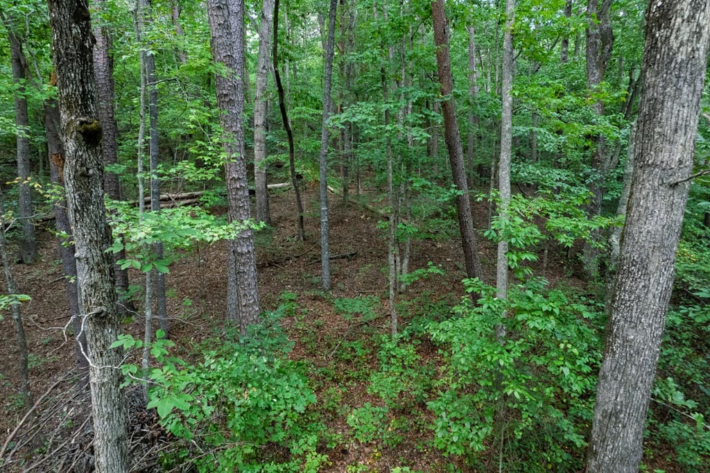 Lot 6 Heatherwood Way, Talking Rock GA 30175 - Photo