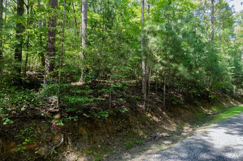 Lot 6 Heatherwood Way, Talking Rock GA 30175 - Photo