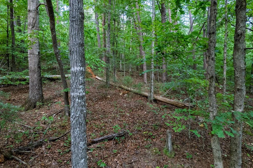 Lot 6 Heatherwood Way, Talking Rock GA 30175 - Photo