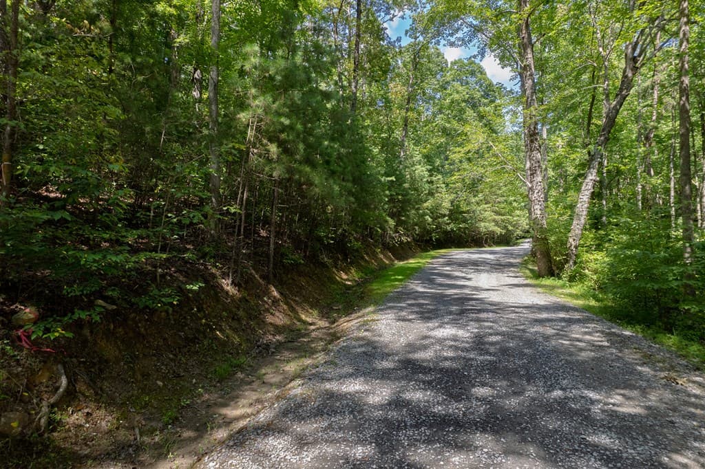 Lot 6 Heatherwood Way, Talking Rock GA 30175 - Photo