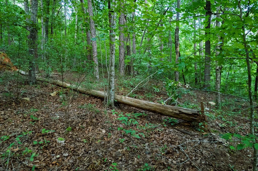 Lot 6 Heatherwood Way, Talking Rock GA 30175 - Photo
