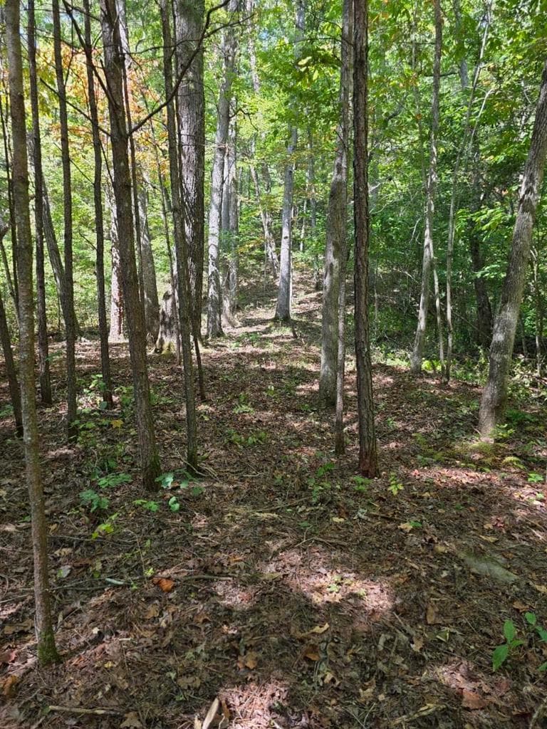 Lot 6 Heatherwood Way, Talking Rock GA 30175 - Photo