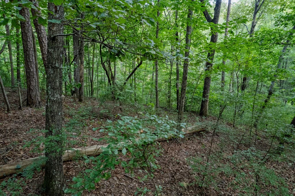 Lot 6 Heatherwood Way, Talking Rock GA 30175 - Photo