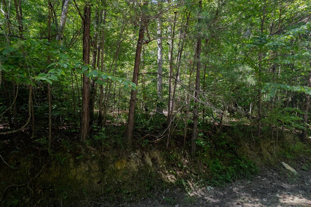 Lot 6 Heatherwood Way, Talking Rock GA 30175 - Photo