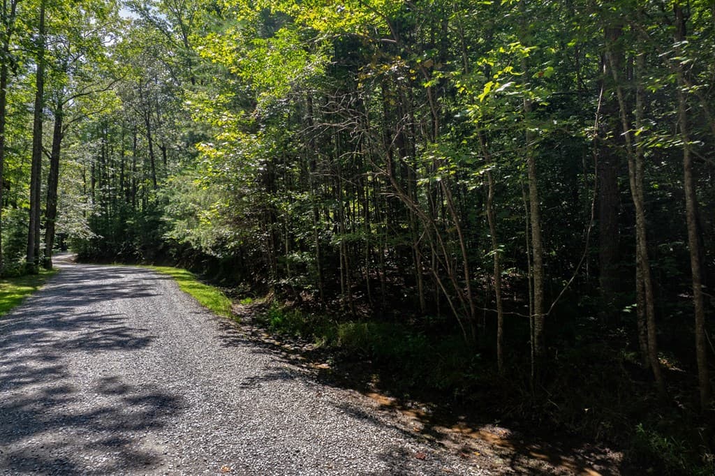 Lot 6 Heatherwood Way, Talking Rock GA 30175 - Photo