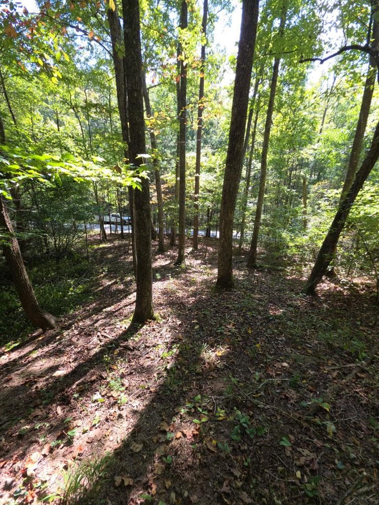 Lot 6 Heatherwood Way, Talking Rock GA 30175 - Photo