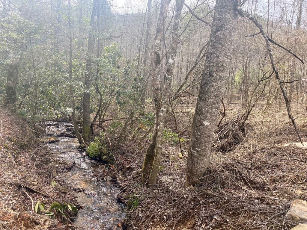 0 Flea Mountain Road, Murphy NC 28906 - Photo