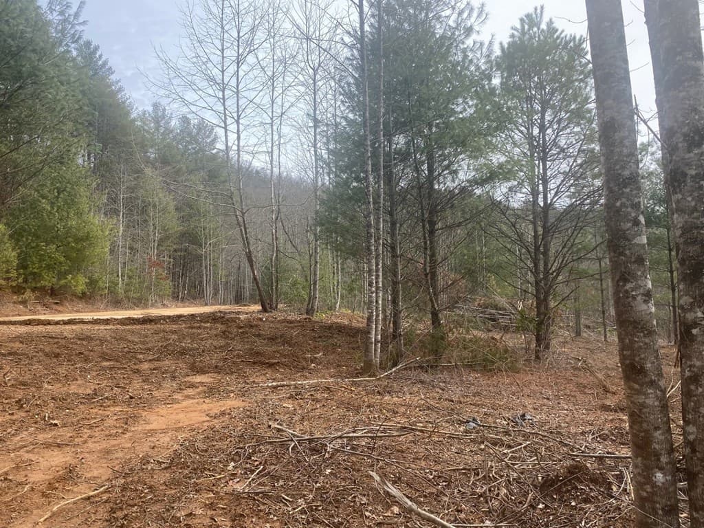 0 Flea Mountain Road, Murphy NC 28906 - Photo