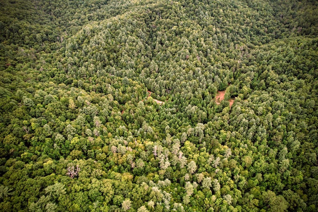 0 Flea Mountain Road, Murphy NC 28906 - Photo