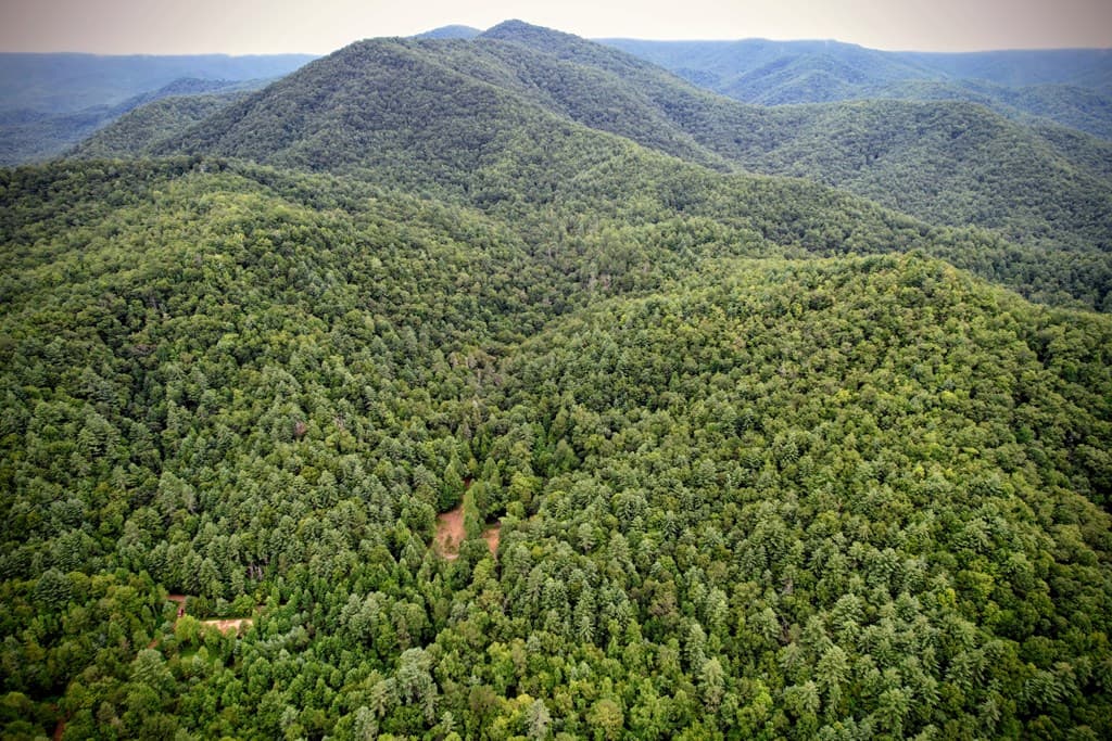 0 Flea Mountain Road, Murphy NC 28906 - Photo