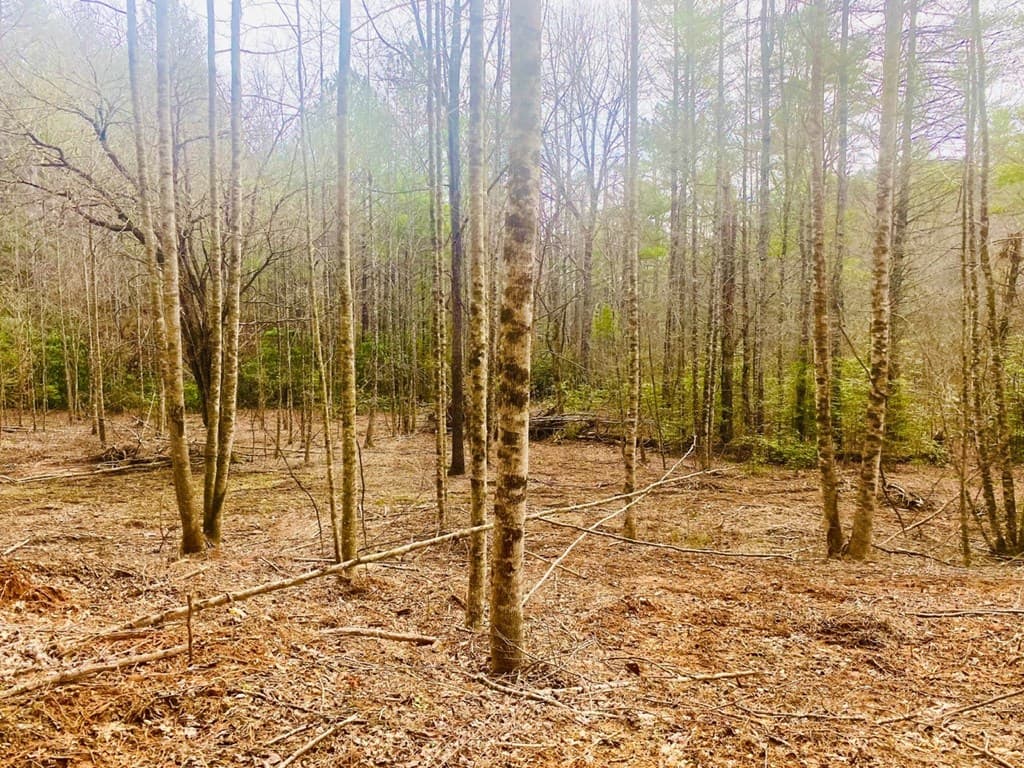 0 Flea Mountain Road, Murphy NC 28906 - Photo