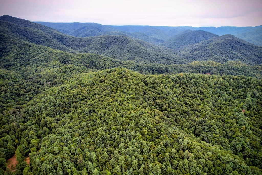 0 Flea Mountain Road, Murphy NC 28906 - Photo
