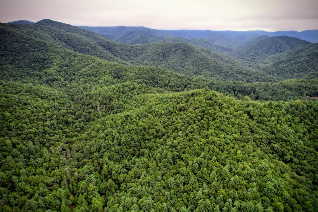 0 Flea Mountain Road, Murphy NC 28906 - Photo