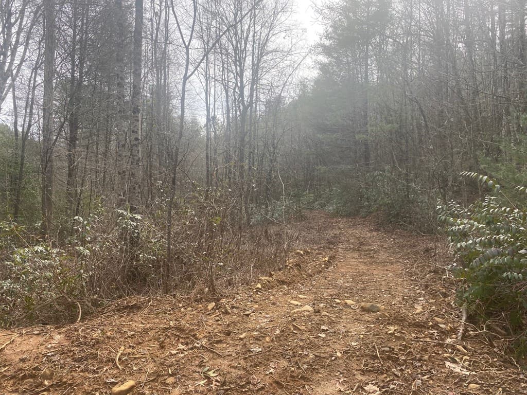 0 Flea Mountain Road, Murphy NC 28906 - Photo