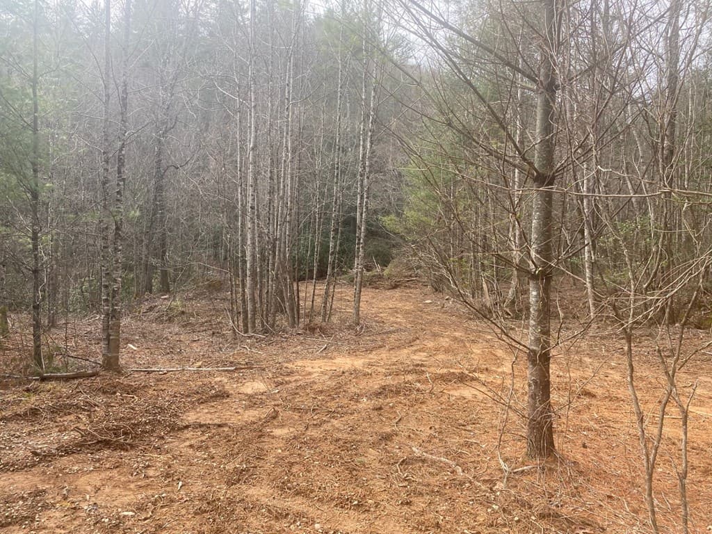 0 Flea Mountain Road, Murphy NC 28906 - Photo