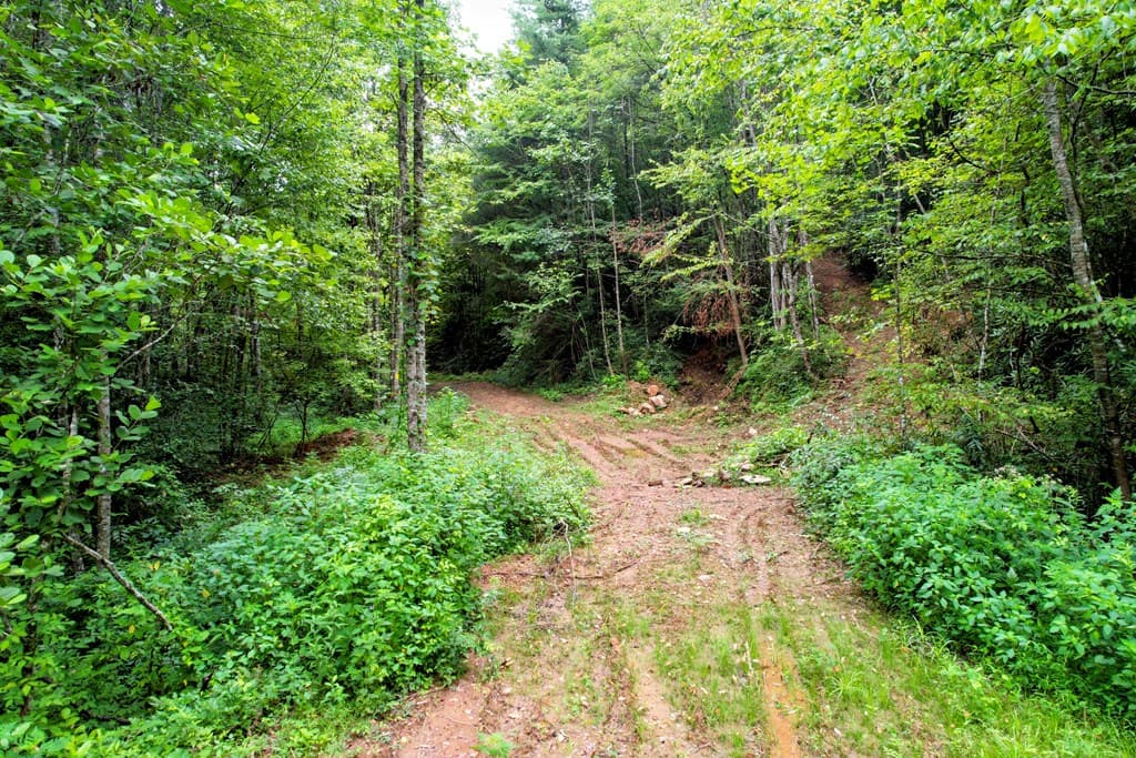 0 Flea Mountain Road, Murphy NC 28906 - Photo