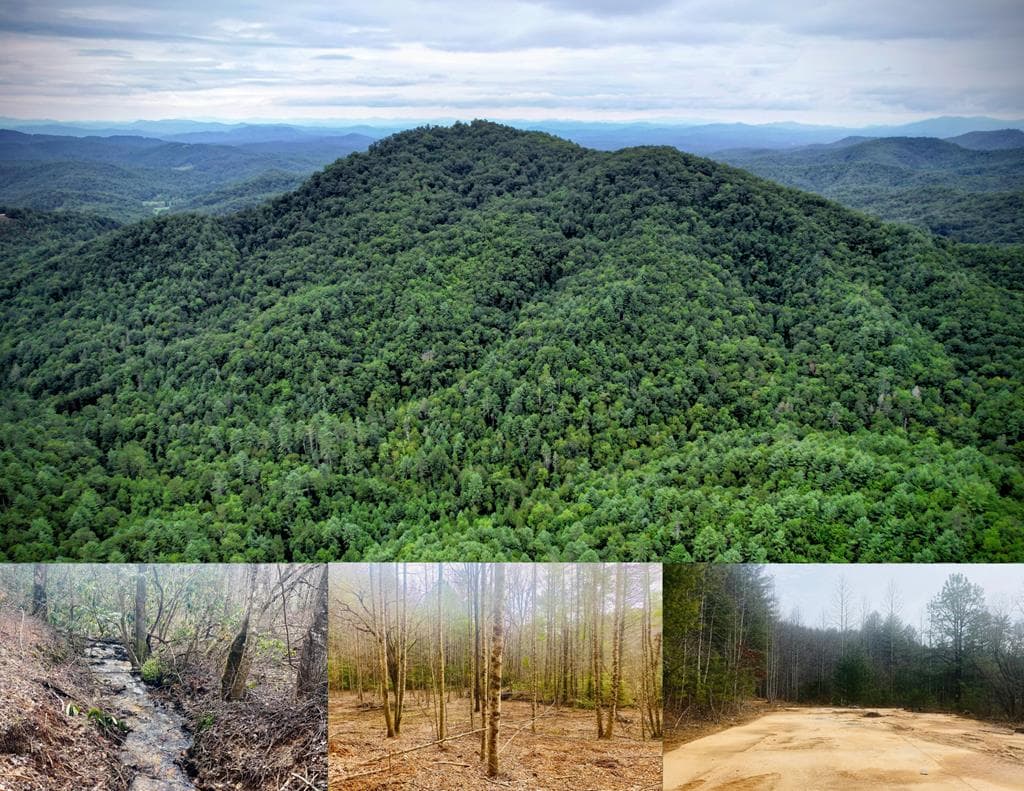 0 Flea Mountain Road, Murphy NC 28906 - Primary photo