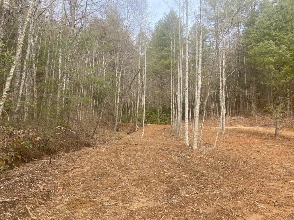 0 Flea Mountain Road, Murphy NC 28906 - Photo