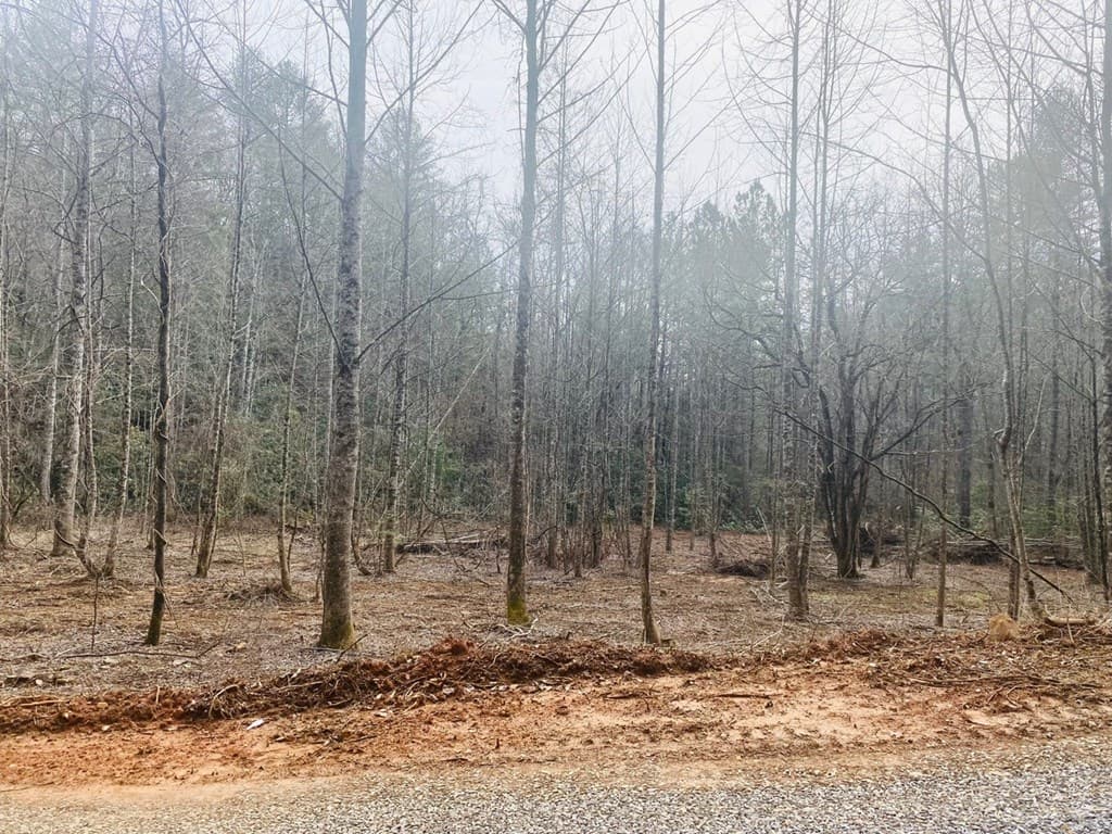 0 Flea Mountain Road, Murphy NC 28906 - Photo
