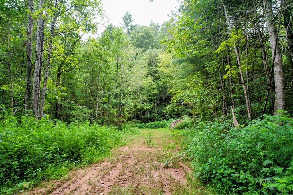 0 Flea Mountain Road, Murphy NC 28906 - Photo