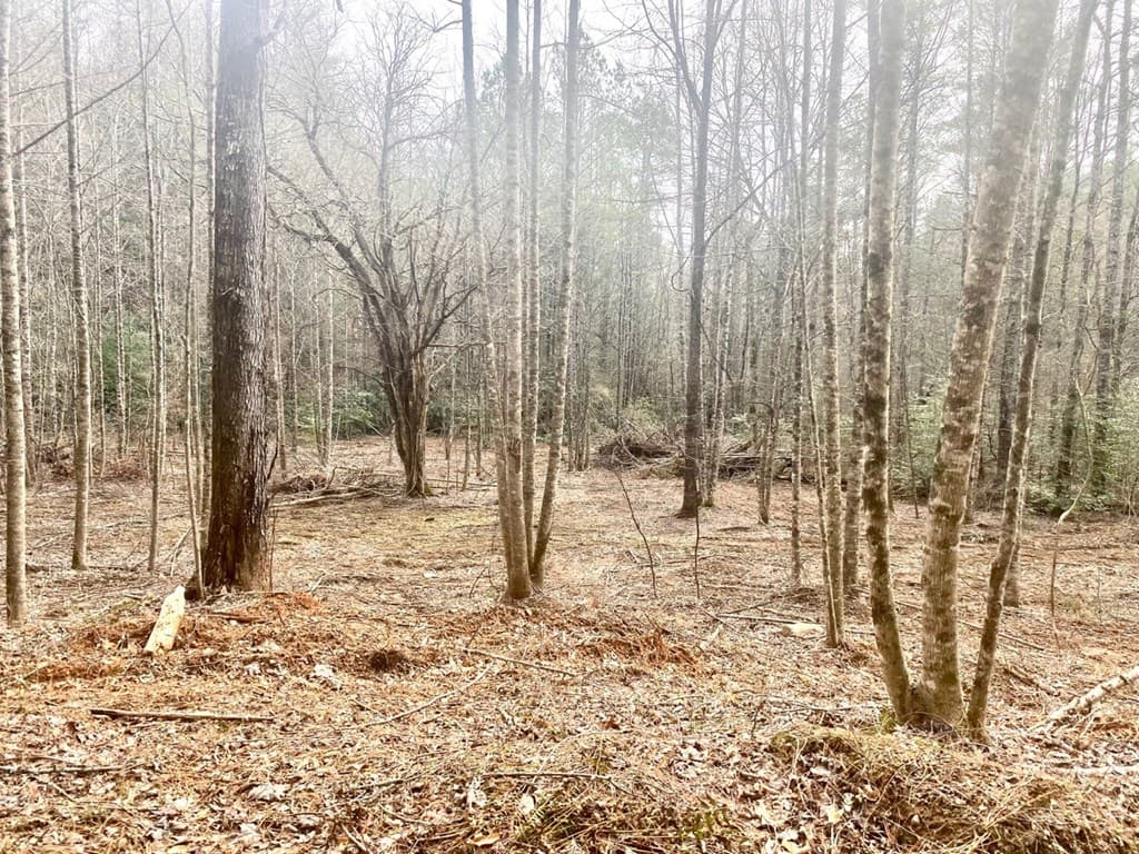 0 Flea Mountain Road, Murphy NC 28906 - Photo