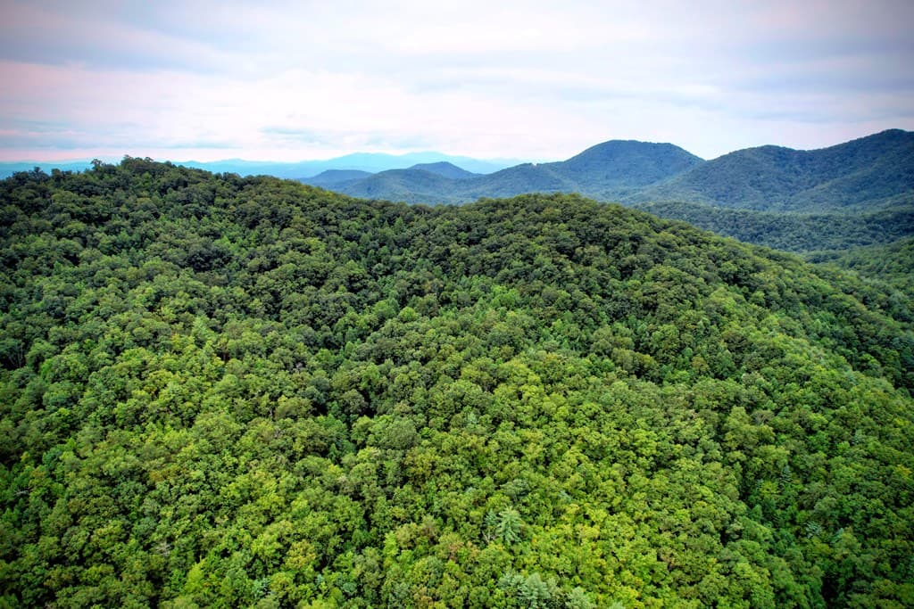 0 Flea Mountain Road, Murphy NC 28906 - Photo
