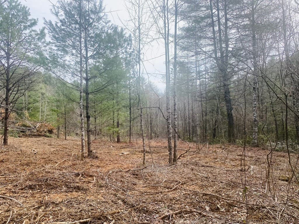 0 Flea Mountain Road, Murphy NC 28906 - Photo