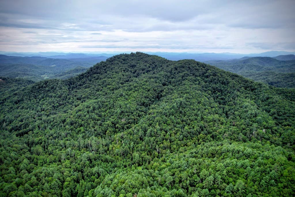 0 Flea Mountain Road, Murphy NC 28906 - Photo