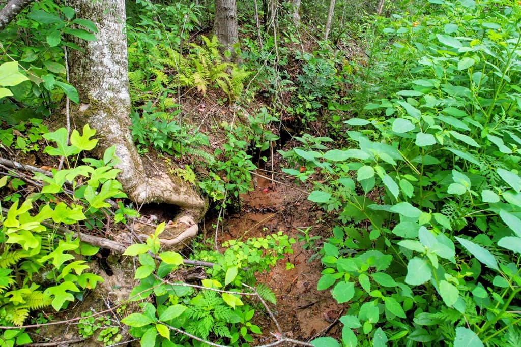 0 Flea Mountain Road, Murphy NC 28906 - Photo