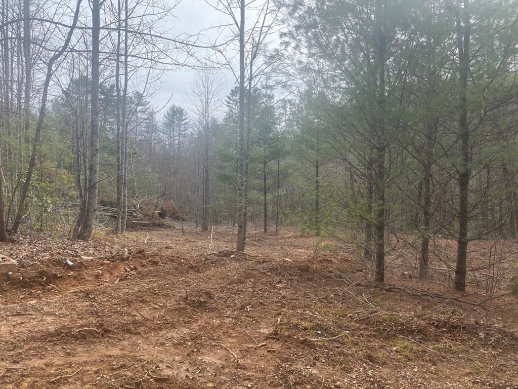 0 Flea Mountain Road, Murphy NC 28906 - Photo