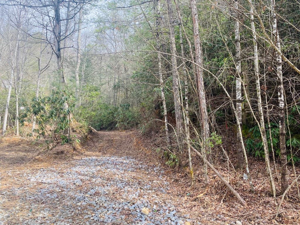 0 Flea Mountain Road, Murphy NC 28906 - Photo