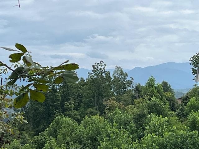 Lot 12 Forest View Drive, Hiawassee GA 30546 - Photo