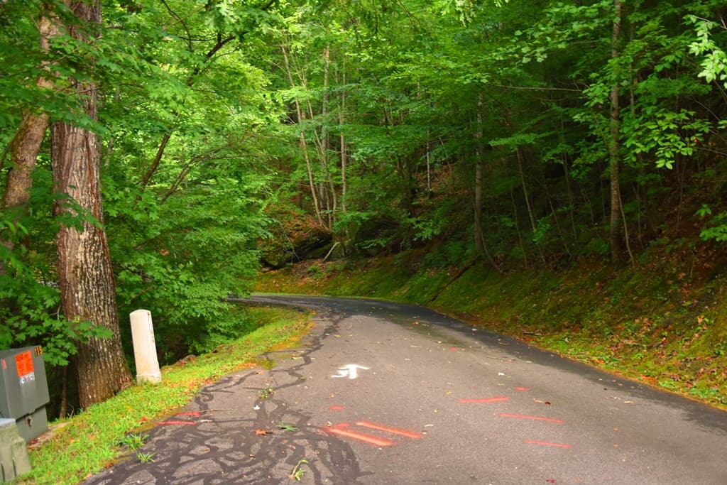 85 Little Deer Run, Hayesville NC 28904 - Photo
