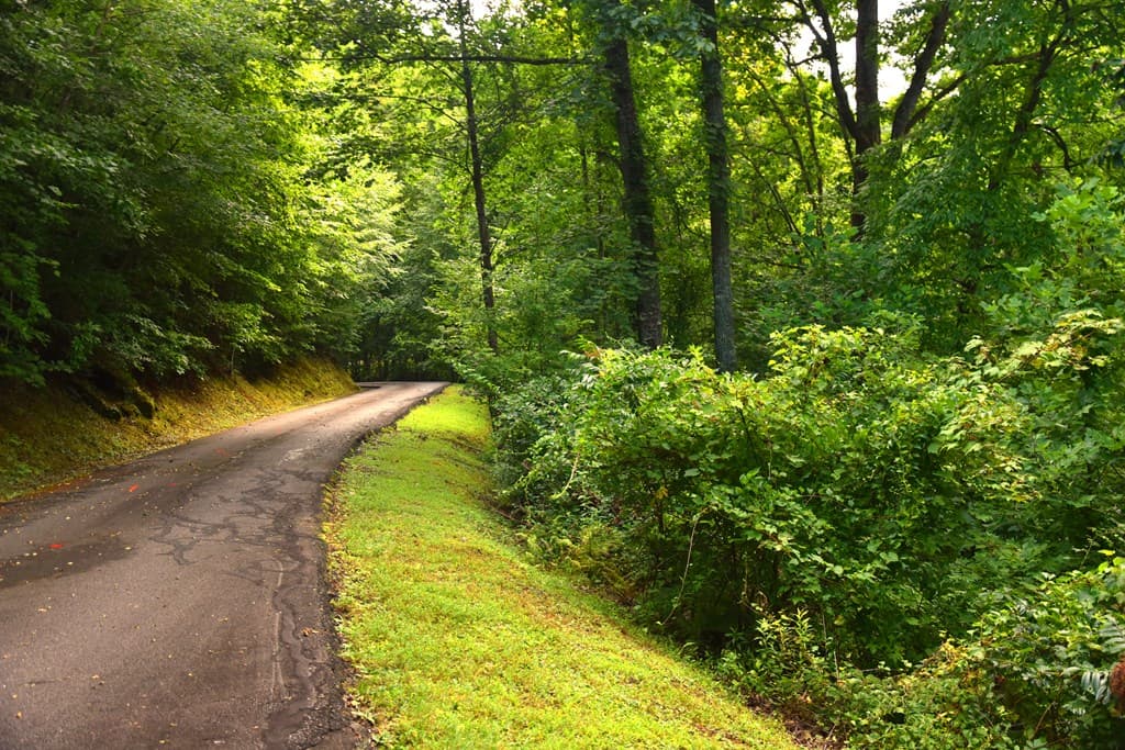 85 Little Deer Run, Hayesville NC 28904 - Photo
