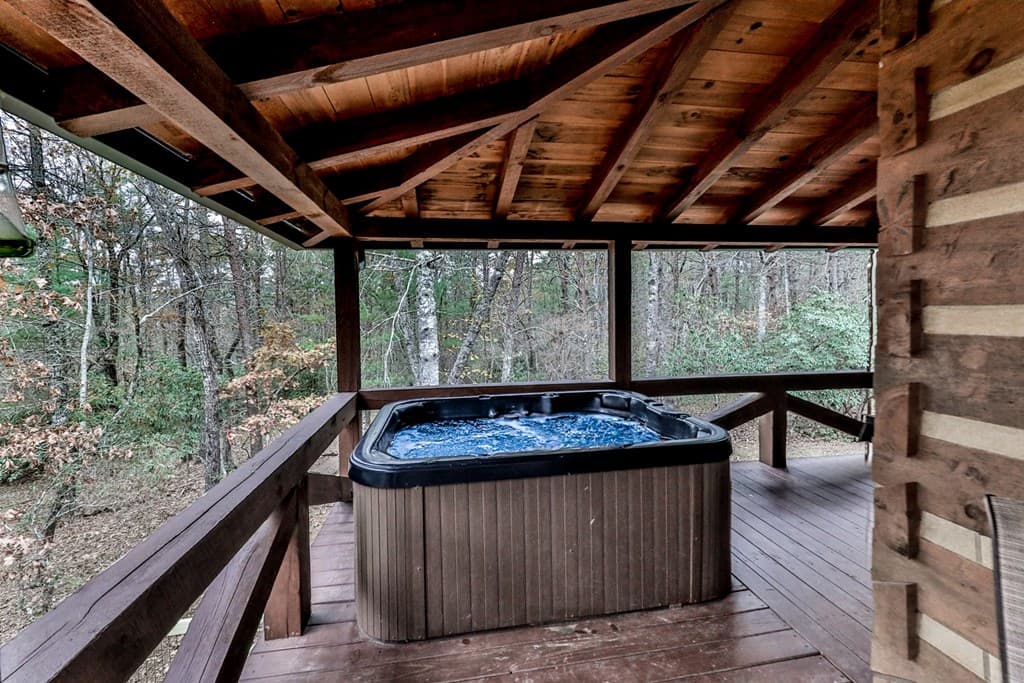 245 Weeks Creek Road, Blue Ridge GA 30513 - Photo