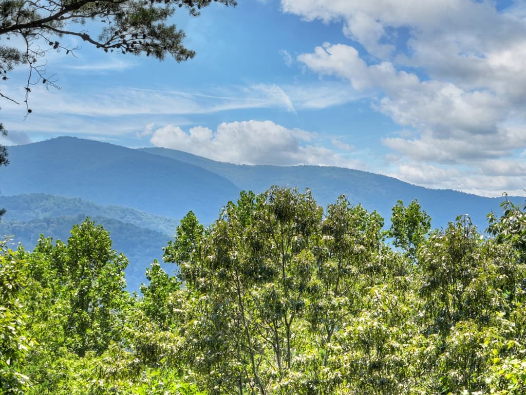 120 Foxfire Road, Blue Ridge GA 30513 - Photo