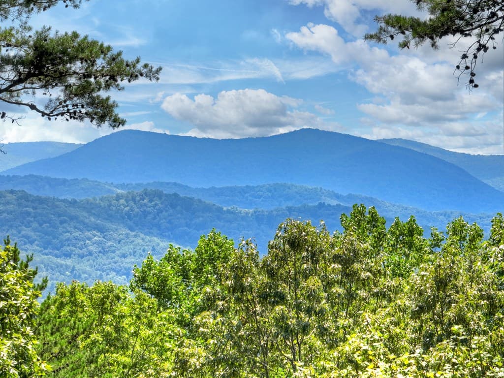 120 Foxfire Road, Blue Ridge GA 30513 - Photo
