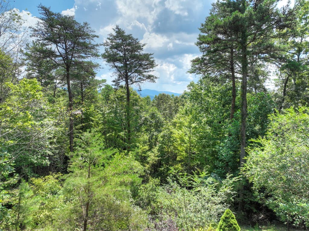 120 Foxfire Road, Blue Ridge GA 30513 - Photo