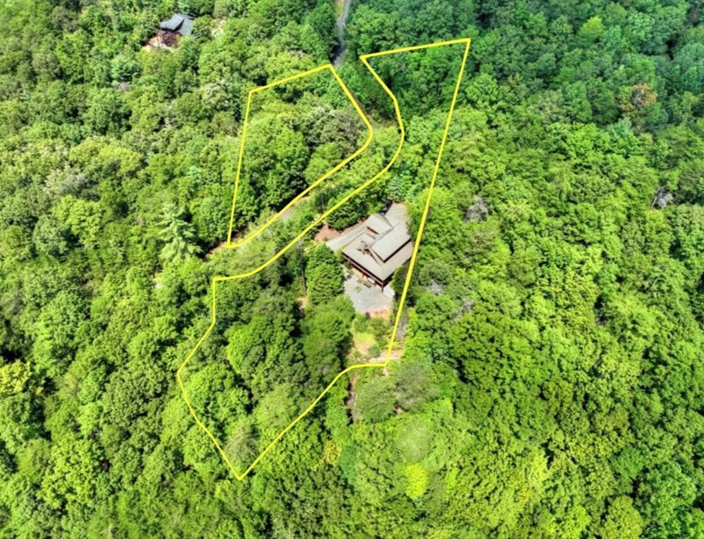 120 Foxfire Road, Blue Ridge GA 30513 - Photo