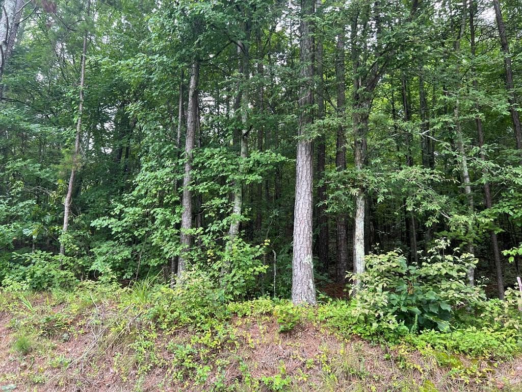 119 NW Kirk Road, White GA 30184 - Photo