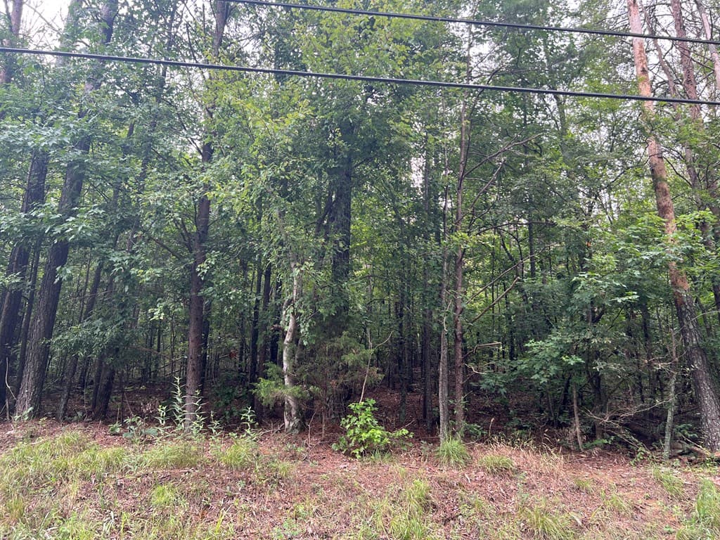 119 NW Kirk Road, White GA 30184 - Photo