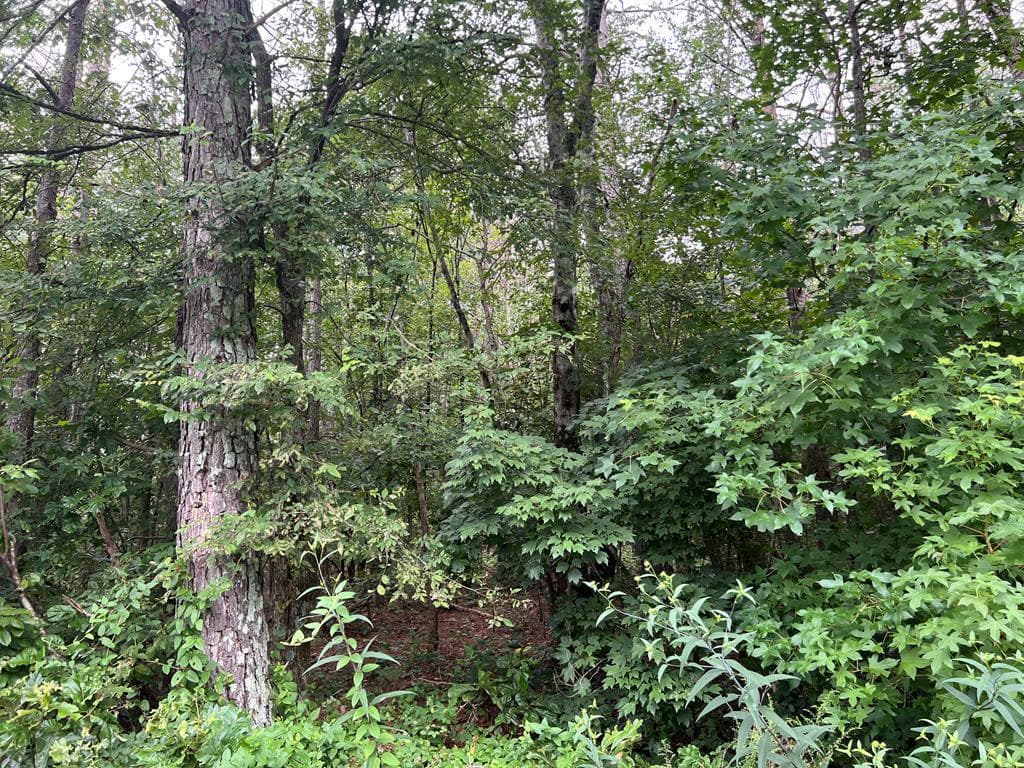 119 NW Kirk Road, White GA 30184 - Primary photo