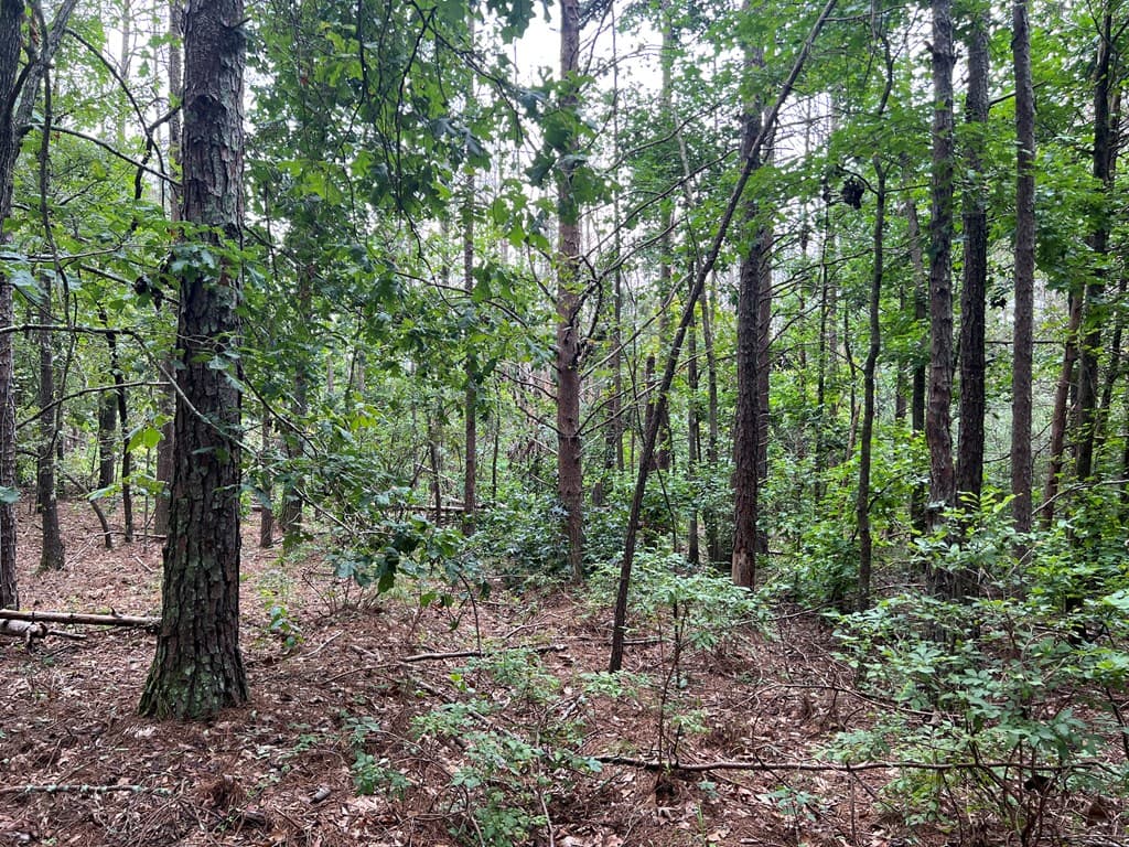 00 NW Timberwood Road, White GA 30184 - Photo