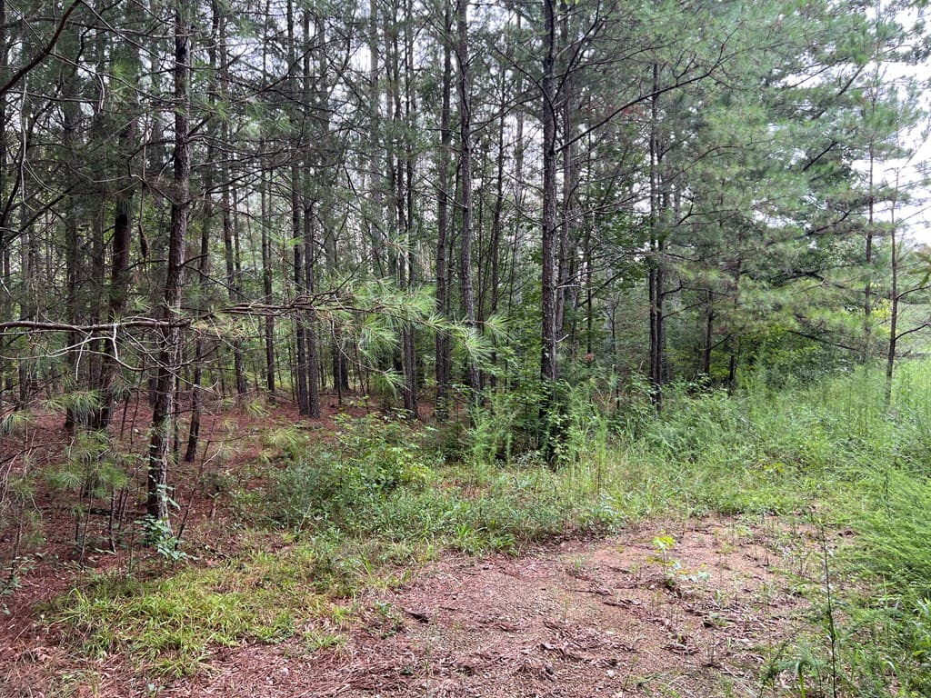 00 NW Timberwood Road, White GA 30184 - Photo