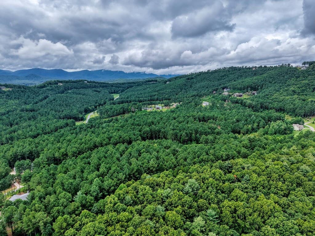 Lot 169 Thirteen Hundred, Blairsville GA 30512 - Photo