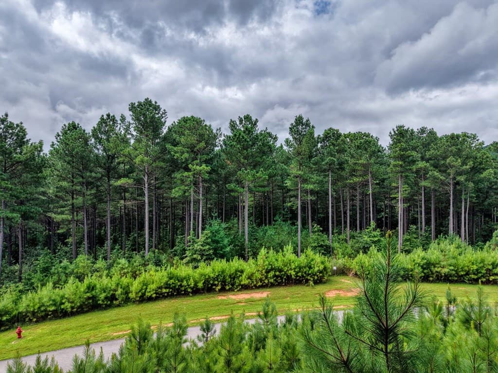 Lot 169 Thirteen Hundred, Blairsville GA 30512 - Photo