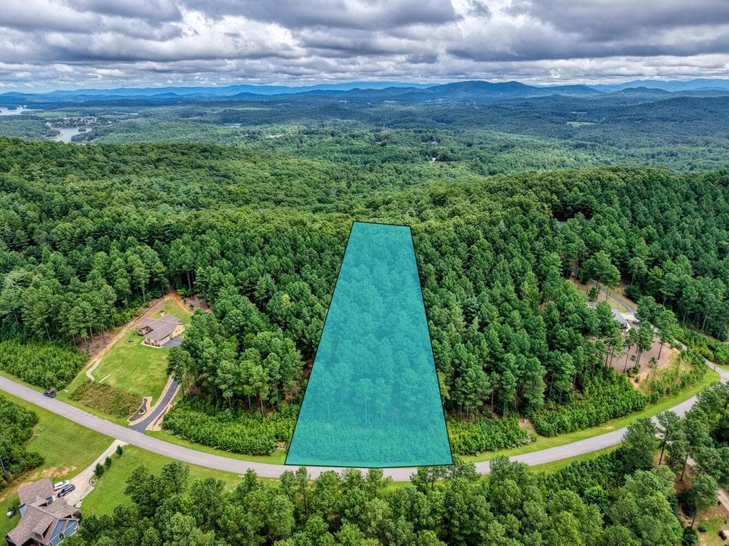 Lot 169 Thirteen Hundred, Blairsville GA 30512 - Primary photo
